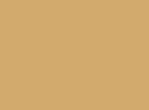 Image ral 1002