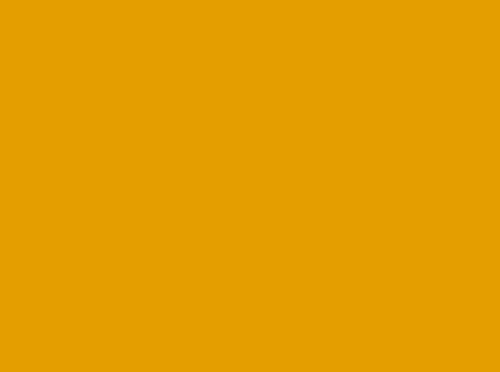 Image ral 1004
