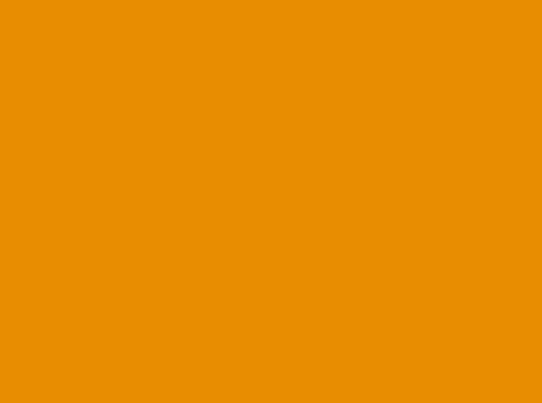 Image ral 1007