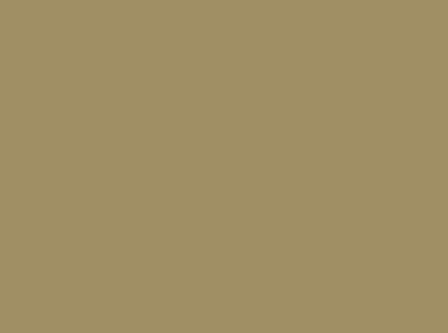 Image ral 1020