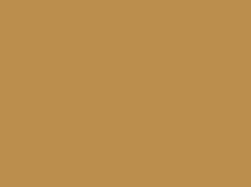 Image ral 1024