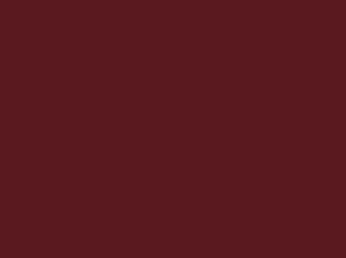 Image ral 3005