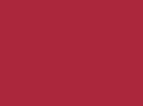 Image ral 3027