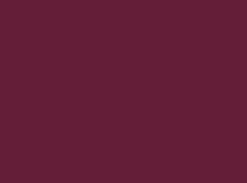 Image RAL 4004 Image ral 4004