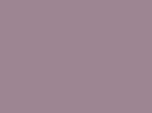 Image ral 4009