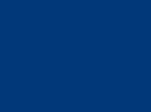 Image ral 5002