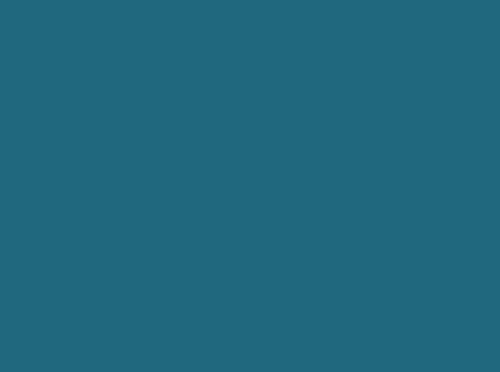 Image ral 5025