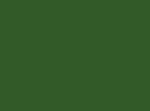 Image ral 6002