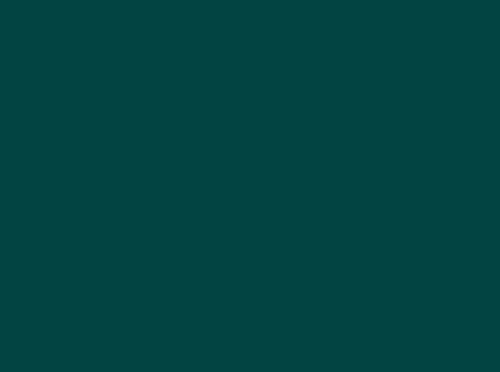 Image ral 6004