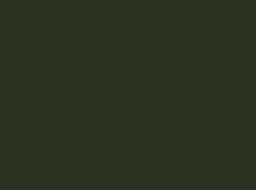 Image ral 6007