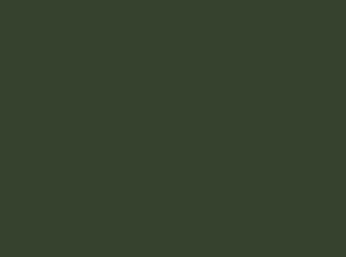 Image ral 6020