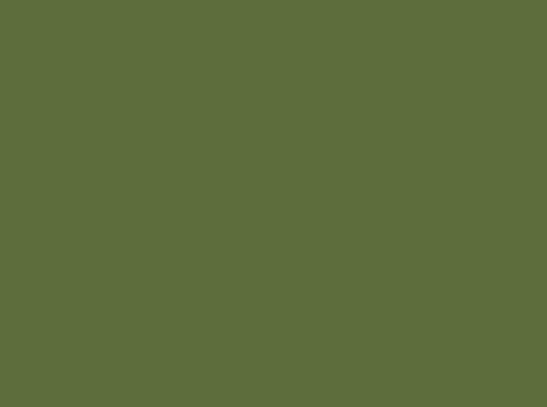Image ral 6025