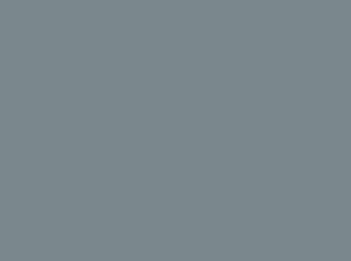 Image ral 7000