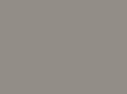 Image ral 7030